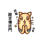 Acid Acid Cat（個別スタンプ：10）