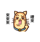 Acid Acid Cat（個別スタンプ：16）