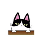 Cat You（個別スタンプ：13）