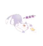 ジャコウネコHALU日常生活（個別スタンプ：17）