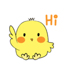 Chioo Family（個別スタンプ：1）