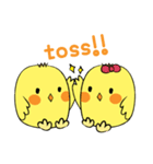 Chioo Family（個別スタンプ：13）