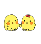 Chioo Family（個別スタンプ：15）