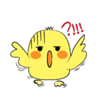 Chioo Family（個別スタンプ：16）