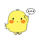 Chioo Family（個別スタンプ：19）