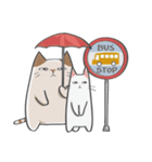 Sassy cat family 2（個別スタンプ：20）