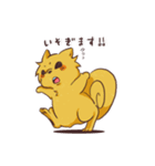 よさこい大好き！よさ犬くんとちびよさくん（個別スタンプ：16）