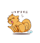 よさこい大好き！よさ犬くんとちびよさくん（個別スタンプ：17）