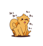 よさこい大好き！よさ犬くんとちびよさくん（個別スタンプ：27）
