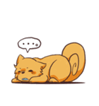 よさこい大好き！よさ犬くんとちびよさくん（個別スタンプ：31）