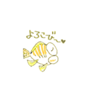 タカノハダイ（個別スタンプ：25）