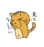 ねことらさん（個別スタンプ：12）