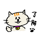 イロイロねこさん（個別スタンプ：11）