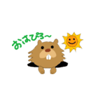 びばぴろくん（個別スタンプ：1）