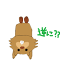 びばぴろくん（個別スタンプ：23）