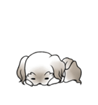 ココの日常生活（個別スタンプ：2）