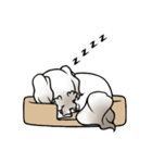 ココの日常生活（個別スタンプ：33）