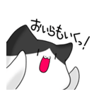 はなくちょ猫「はなちん」（個別スタンプ：6）