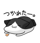 はなくちょ猫「はなちん」（個別スタンプ：33）