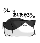 はなくちょ猫「はなちん」（個別スタンプ：37）