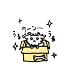 いぬのふわ吉（個別スタンプ：5）