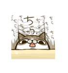 いなねこ。（個別スタンプ：5）