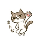 いなねこ。（個別スタンプ：6）