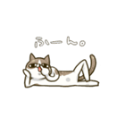 いなねこ。（個別スタンプ：11）