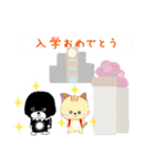 くろちゃん的な日々 13（個別スタンプ：5）