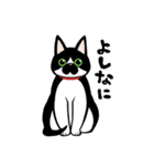 うちのねこがね、（個別スタンプ：1）