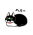 うちのねこがね、（個別スタンプ：2）