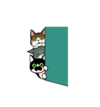 うちのねこがね、（個別スタンプ：5）