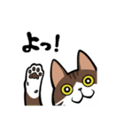 うちのねこがね、（個別スタンプ：8）