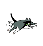 うちのねこがね、（個別スタンプ：19）