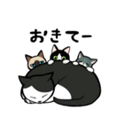 うちのねこがね、（個別スタンプ：20）