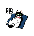 うちのねこがね、（個別スタンプ：21）
