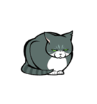 うちのねこがね、（個別スタンプ：24）