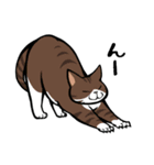 うちのねこがね、（個別スタンプ：27）