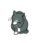 うちのねこがね、（個別スタンプ：29）