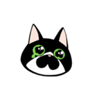 うちのねこがね、（個別スタンプ：34）