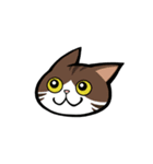 うちのねこがね、（個別スタンプ：38）