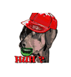 Dooby Dogy（個別スタンプ：2）