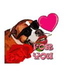 Dooby Dogy（個別スタンプ：3）