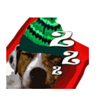 Dooby Dogy（個別スタンプ：10）