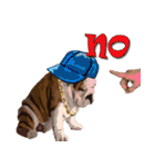 Dooby Dogy（個別スタンプ：13）