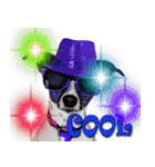 Dooby Dogy（個別スタンプ：20）