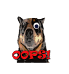 Dooby Dogy（個別スタンプ：30）