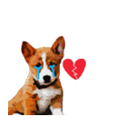 Dooby Dogy（個別スタンプ：31）