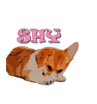 Dooby Dogy（個別スタンプ：33）