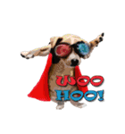 Dooby Dogy（個別スタンプ：37）